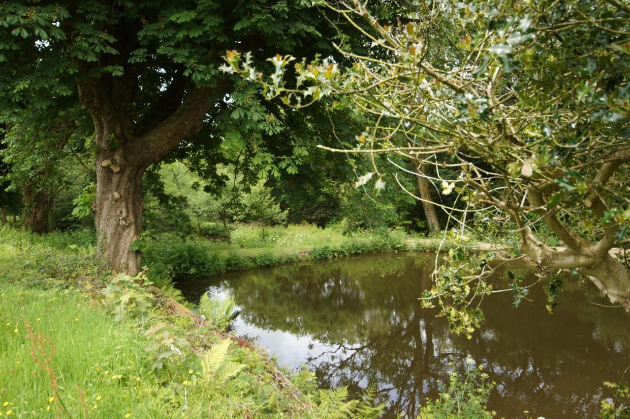 Fosfelle Glamping Hartland