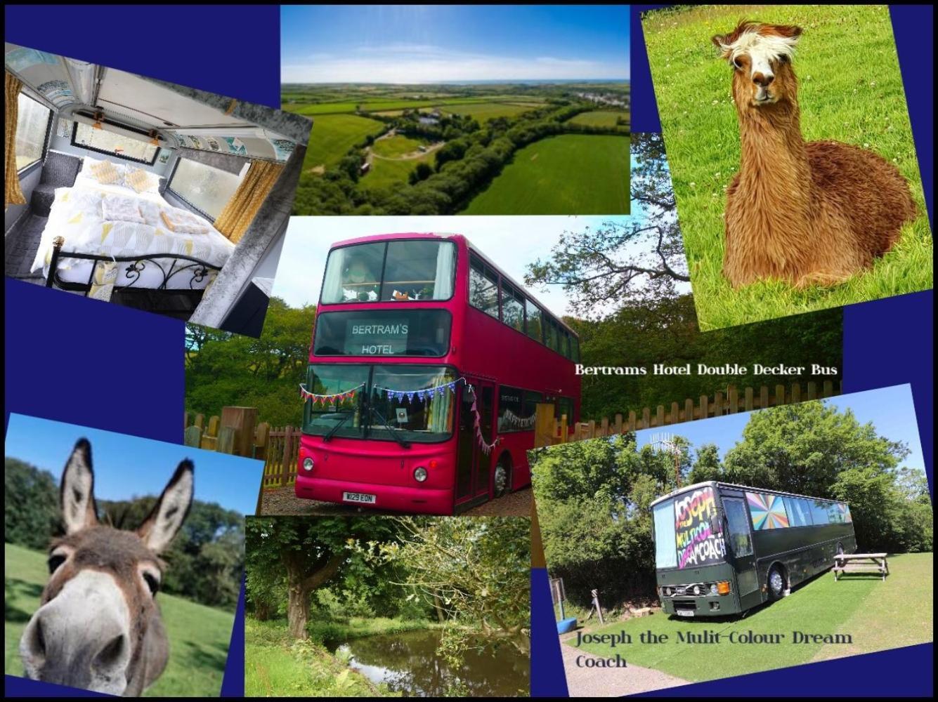 Fosfelle Glamping *
